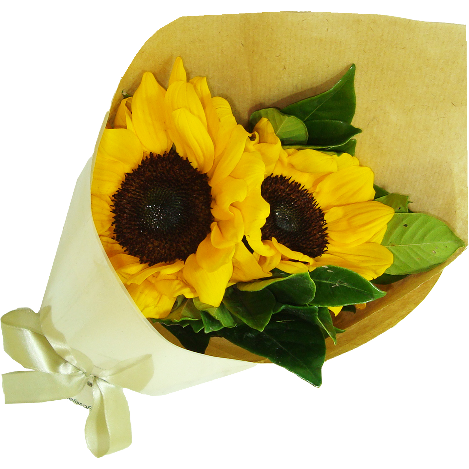 Ramalhete de Girass�is